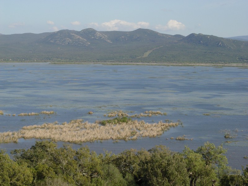 Lac Tonga 